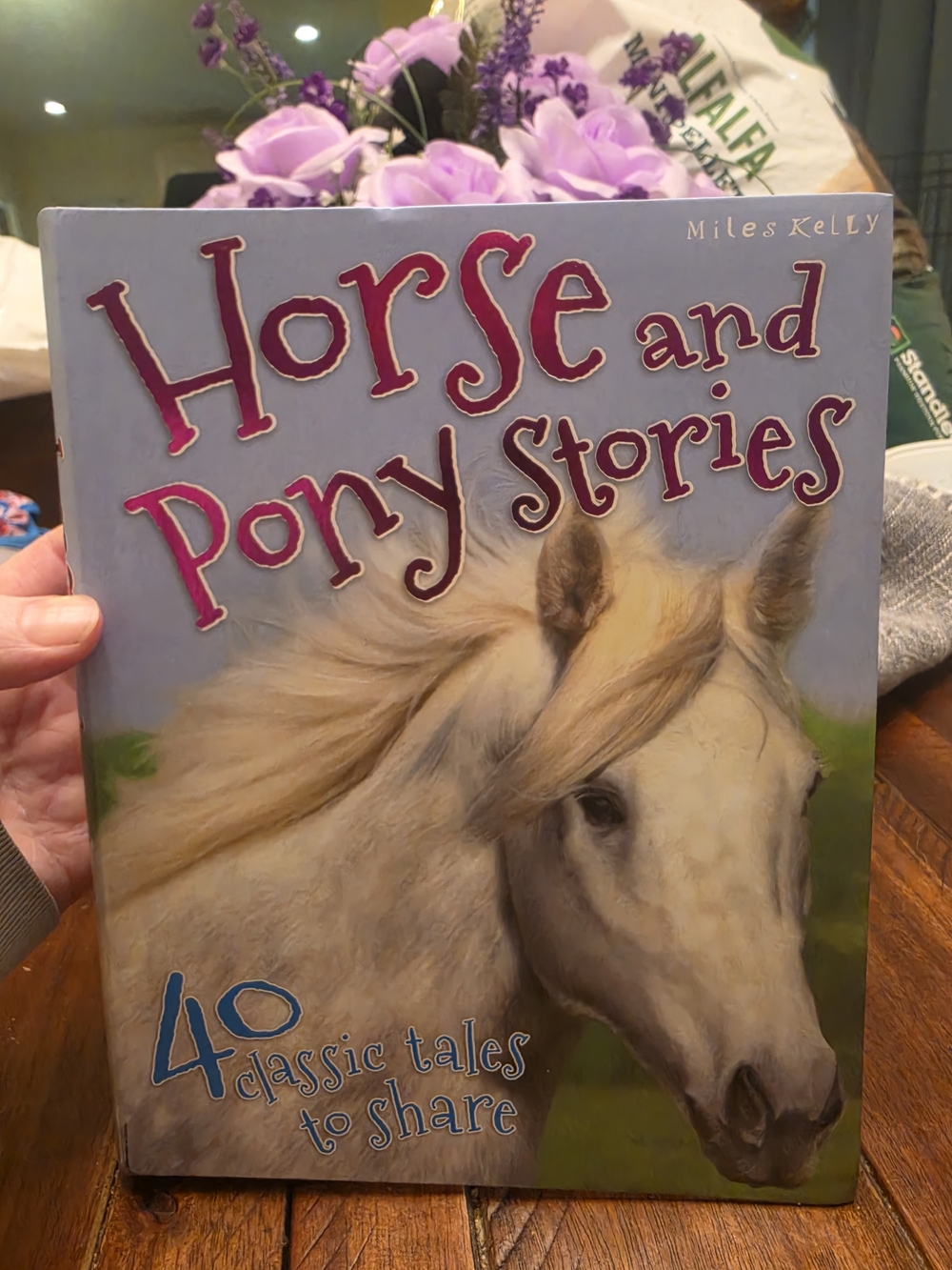 Horse and Pony Stories